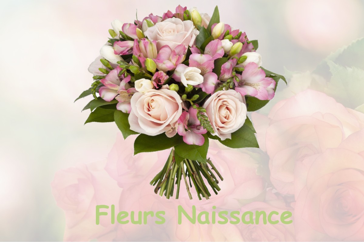 fleurs naissance CHILLY-SUR-SALINS