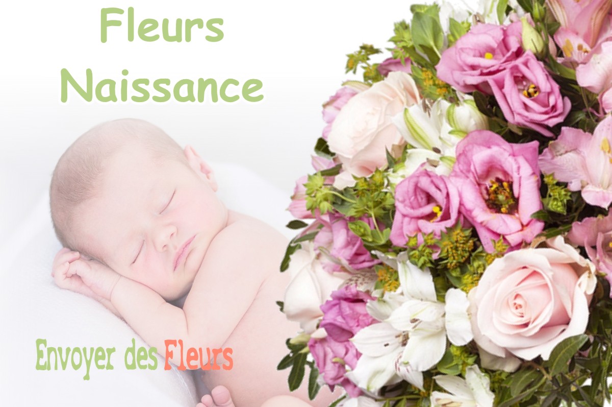 lIVRAISON FLEURS NAISSANCE à CHILLY-SUR-SALINS